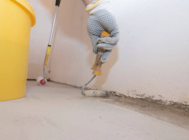 Best Pest Exclusion Services  in Little Elm, TX